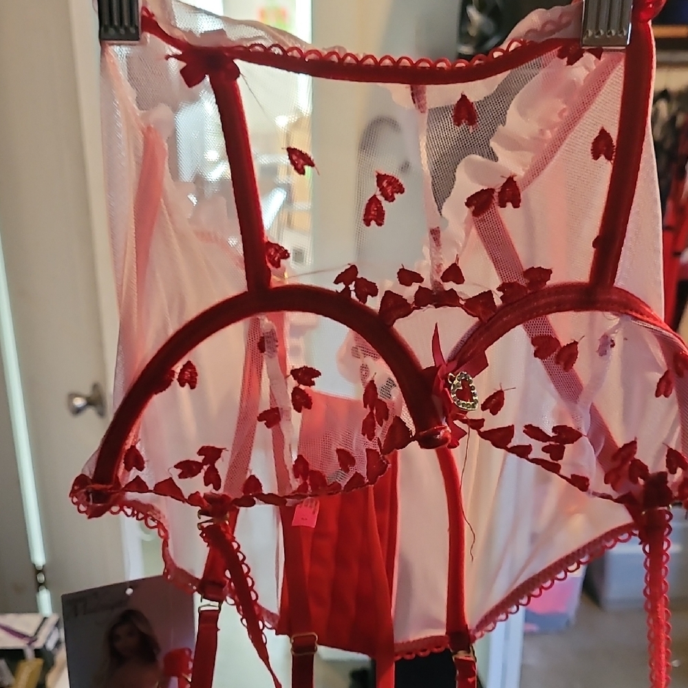 Red Sheer Heart Embroidered Lingerie Set